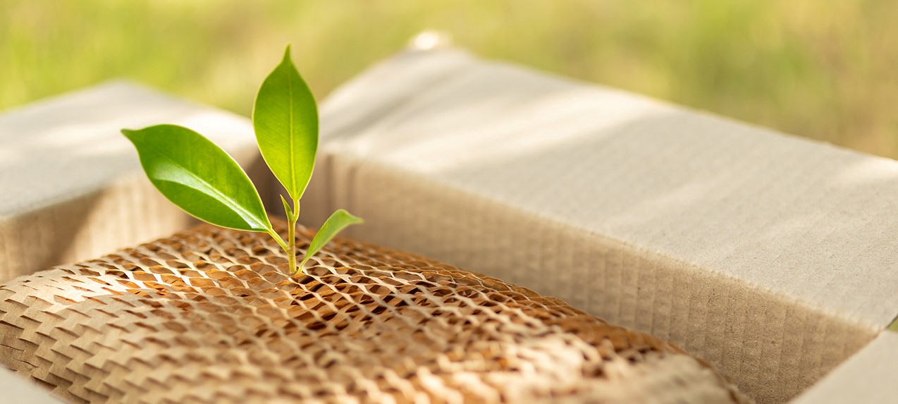 Eco-friendly illustration showing corrugated cardboard and a green plant, symbolizing MAZUS commitment to sustainable packaging solutions.