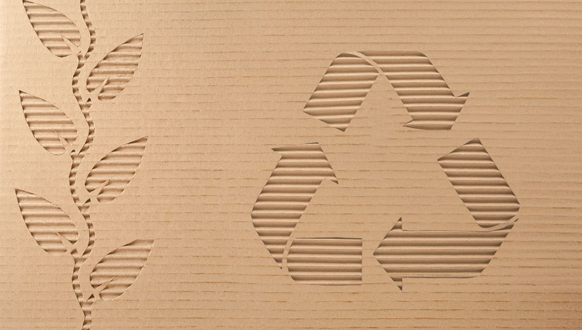 Eco-Friendly Recycled Cardboard. What Is It?